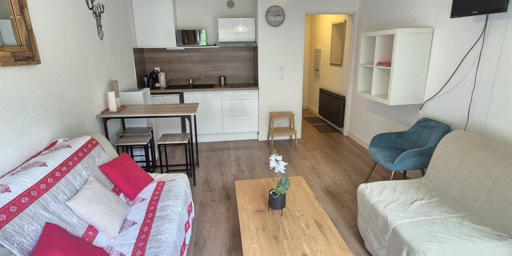 appartement à ST LARY SOULAN (65170)